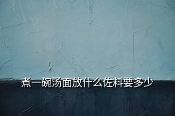 煮一碗湯面放什么佐料要多少