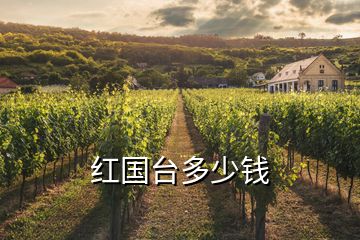 紅國(guó)臺(tái)多少錢