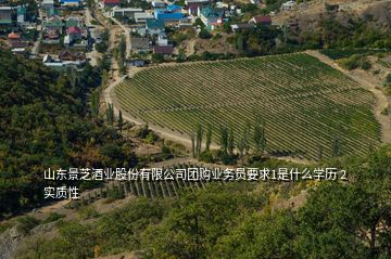 山東景芝酒業(yè)股份有限公司團(tuán)購業(yè)務(wù)員要求1是什么學(xué)歷 2實(shí)質(zhì)性