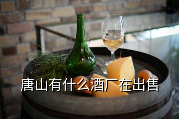 唐山有什么酒廠在出售