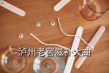 瀘州老窖滋補(bǔ)大曲