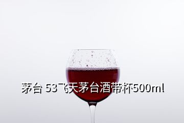 茅臺 53飛天茅臺酒帶杯500ml