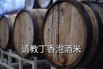 請教丁香泡酒米