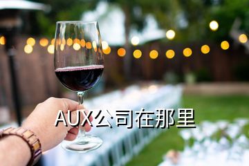 AUX公司在那里