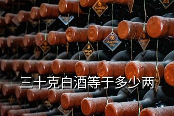 三十克白酒等于多少兩