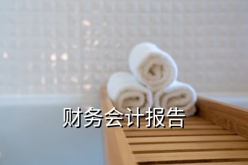 財務(wù)會計報告