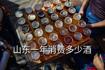 山東一年消費(fèi)多少酒