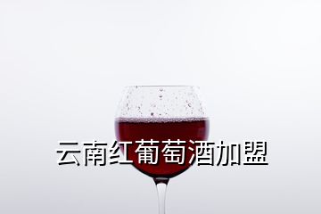 云南紅葡萄酒加盟