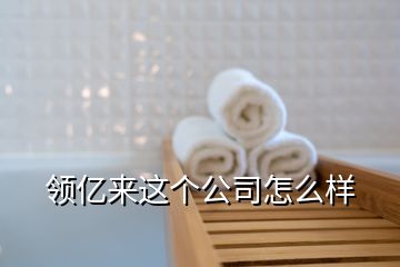 領億來這個公司怎么樣