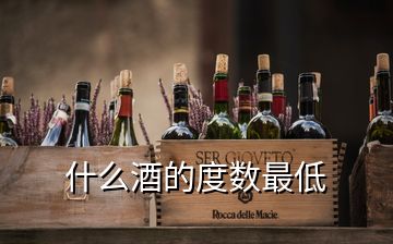 什么酒的度數(shù)最低