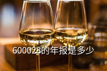 600028的年報是多少