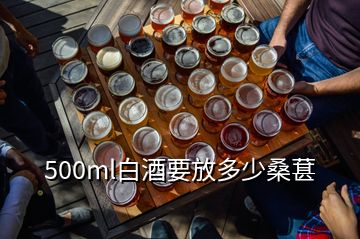 500ml白酒要放多少桑葚