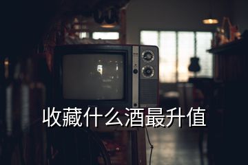 收藏什么酒最升值