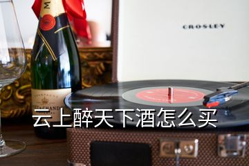 云上醉天下酒怎么買