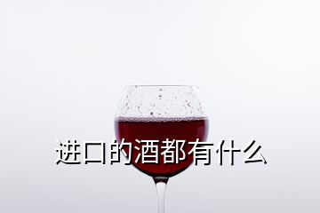 進口的酒都有什么