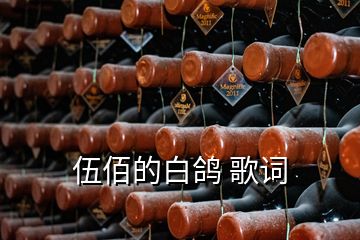 伍佰的白鴿 歌詞