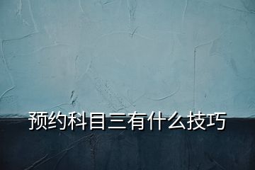 預約科目三有什么技巧