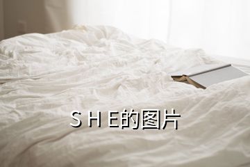 S H E的圖片