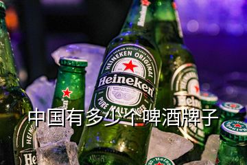 中國有多少個啤酒牌子