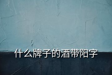 什么牌子的酒帶陽字