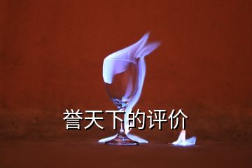 譽(yù)天下的評價(jià)