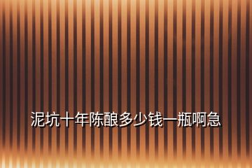 泥坑十年陳釀多少錢一瓶啊急