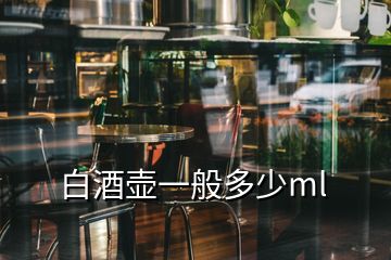 白酒壺一般多少ml