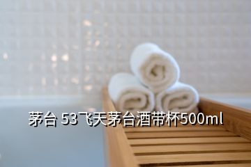 茅臺(tái) 53飛天茅臺(tái)酒帶杯500ml