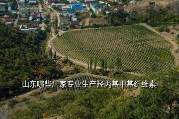 山東哪些廠家專業(yè)生產(chǎn)羥丙基甲基纖維素