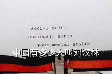 中國有多少人叫劉漢林