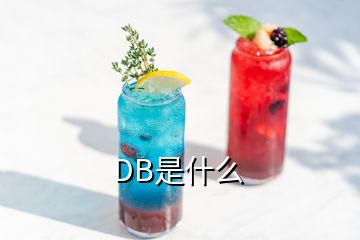 DB是什么