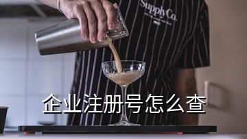 企業(yè)注冊號怎么查