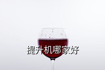 提升機哪家好