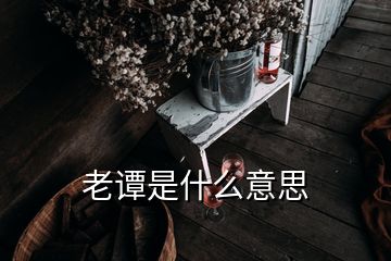 老譚是什么意思