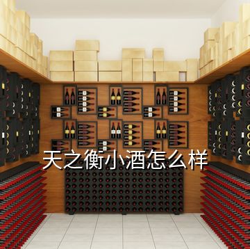 天之衡小酒怎么樣
