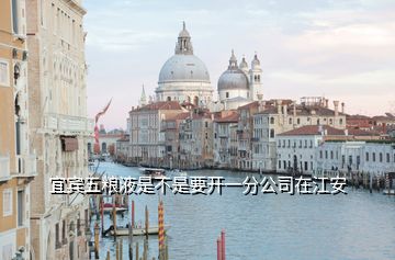 宜賓五糧液是不是要開(kāi)一分公司在江安