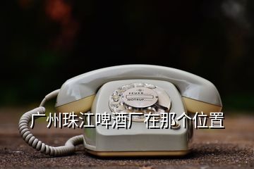 廣州珠江啤酒廠在那個位置