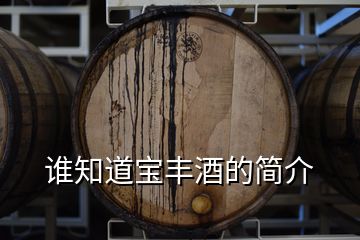 誰(shuí)知道寶豐酒的簡(jiǎn)介