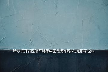 哈爾濱開發(fā)區(qū)哈平路集中區(qū)渤海東路6號是那家企業(yè)