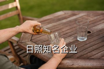 日照知名企業(yè)