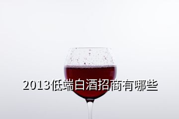 2013低端白酒招商有哪些