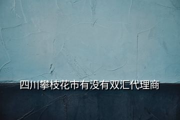 四川攀枝花市有沒(méi)有雙匯代理商