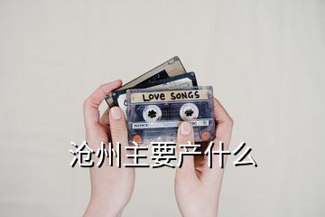 滄州主要產(chǎn)什么