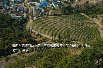 請(qǐng)問白酒瓶口防止酒一下倒出來很多的那個(gè)塑料件叫什么名字啊 就是