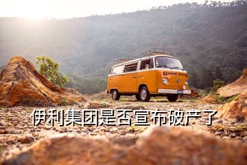 伊利集團是否宣布破產(chǎn)了