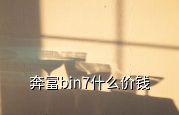 奔富bin7什么價錢