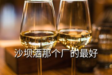 沙壩酒那個廠的最好