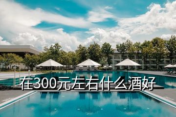 在300元左右什么酒好