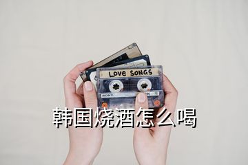 韓國燒酒怎么喝