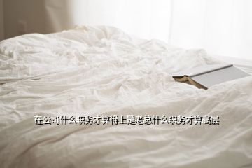 在公司什么職務才算得上是老總什么職務才算高層